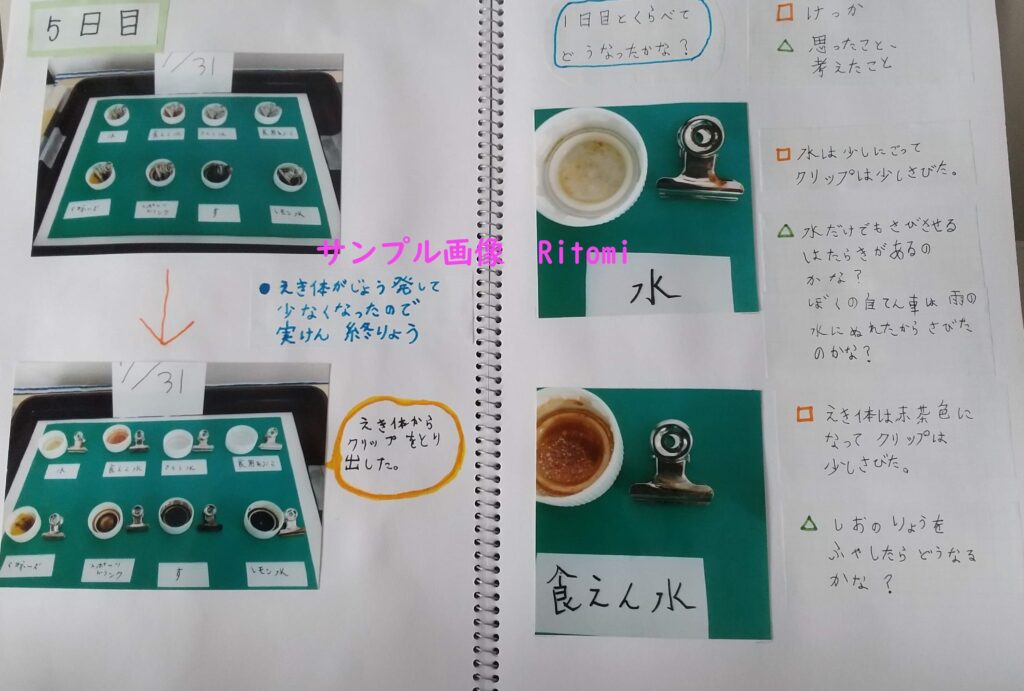 自由研究まとめ